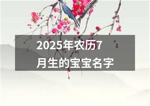 2025年农历7月生的宝宝名字