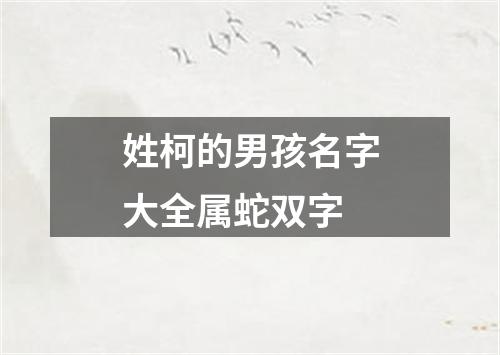 姓柯的男孩名字大全属蛇双字