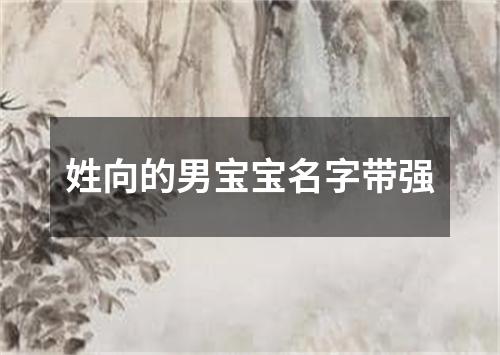 姓向的男宝宝名字带强