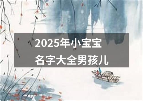 2025年小宝宝名字大全男孩儿