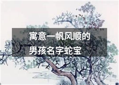 寓意一帆风顺的男孩名字蛇宝