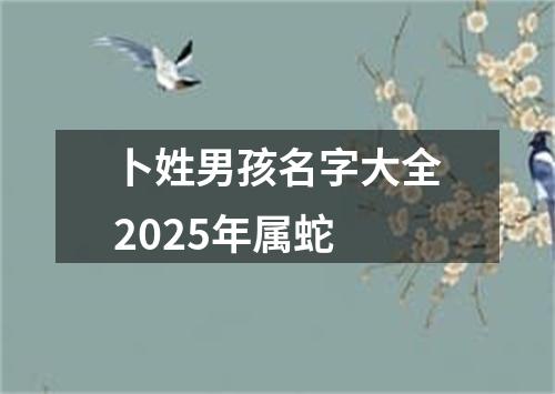卜姓男孩名字大全2025年属蛇