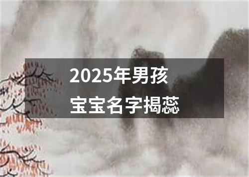 2025年男孩宝宝名字揭蕊