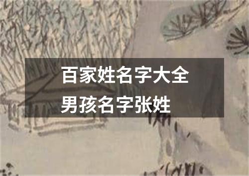 百家姓名字大全男孩名字张姓