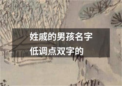 姓戚的男孩名字低调点双字的