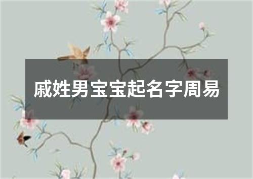 戚姓男宝宝起名字周易