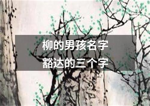 柳的男孩名字豁达的三个字