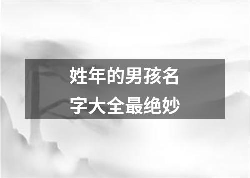 姓年的男孩名字大全最绝妙