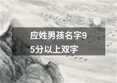 应姓男孩名字95分以上双字