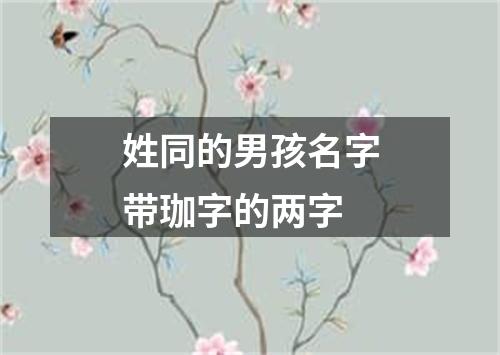 姓同的男孩名字带珈字的两字