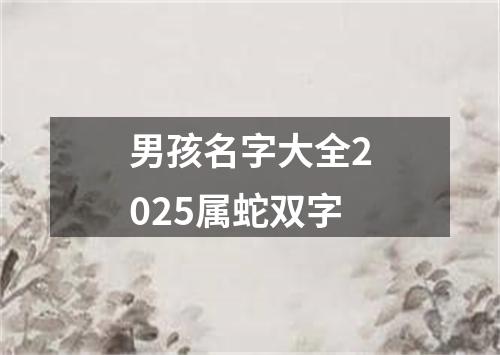 男孩名字大全2025属蛇双字