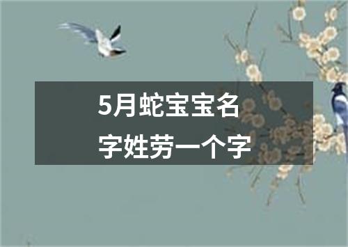 5月蛇宝宝名字姓劳一个字