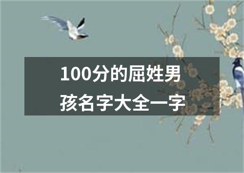 100分的屈姓男孩名字大全一字
