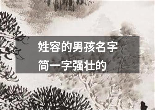 姓容的男孩名字简一字强壮的