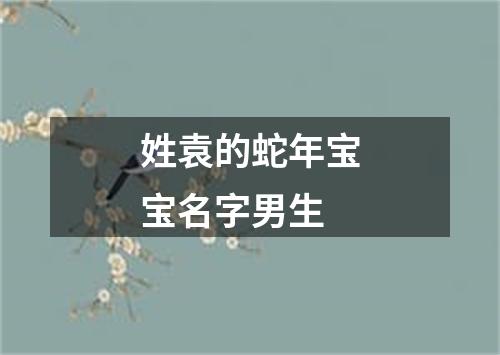 姓袁的蛇年宝宝名字男生