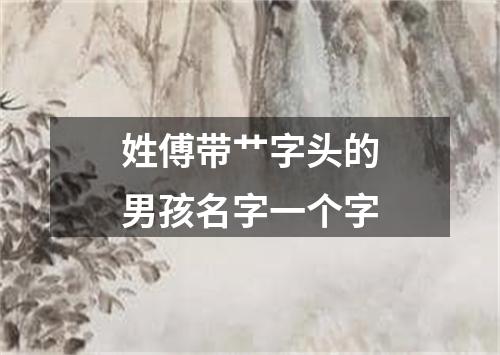 姓傅带艹字头的男孩名字一个字