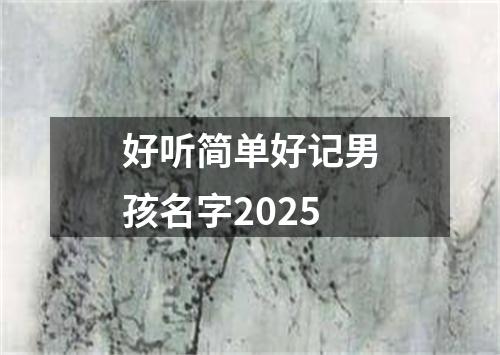 好听简单好记男孩名字2025