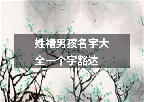 姓褚男孩名字大全一个字豁达