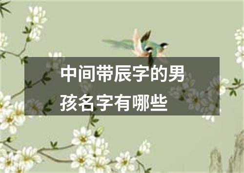 中间带辰字的男孩名字有哪些