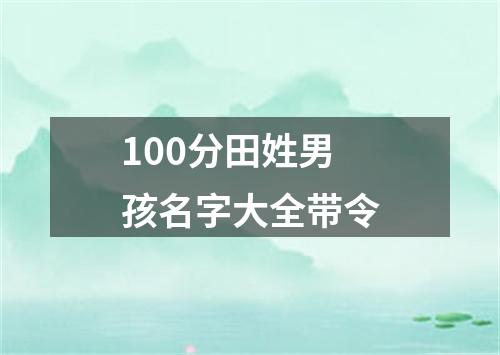 100分田姓男孩名字大全带令