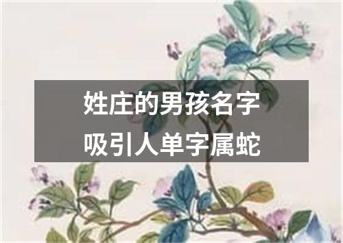 姓庄的男孩名字吸引人单字属蛇