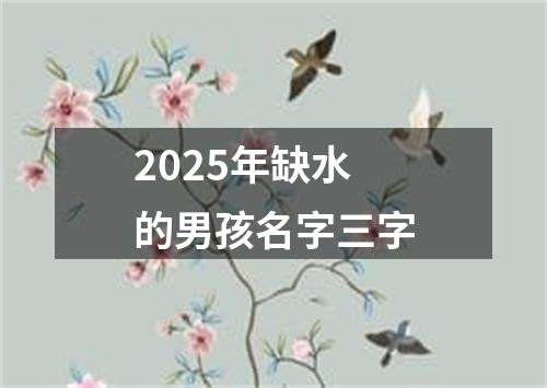 2025年缺水的男孩名字三字