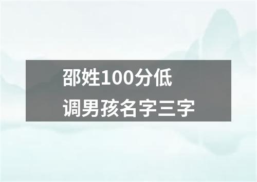 邵姓100分低调男孩名字三字