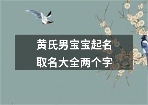 黄氏男宝宝起名取名大全两个字