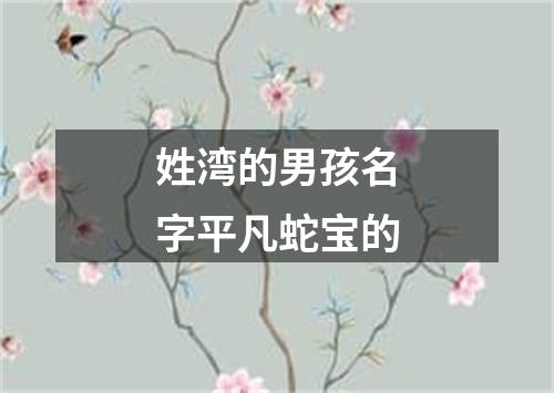 姓湾的男孩名字平凡蛇宝的