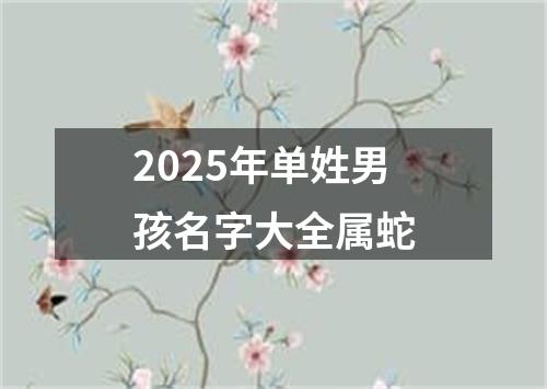 2025年单姓男孩名字大全属蛇