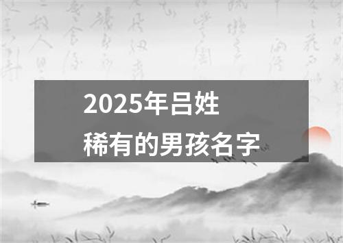 2025年吕姓稀有的男孩名字