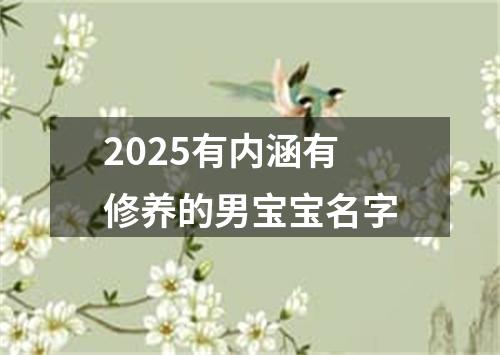 2025有内涵有修养的男宝宝名字