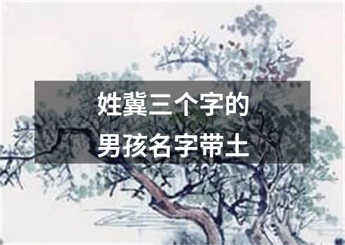 姓冀三个字的男孩名字带土