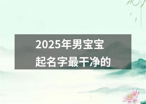 2025年男宝宝起名字最干净的