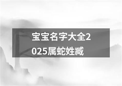 宝宝名字大全2025属蛇姓臧