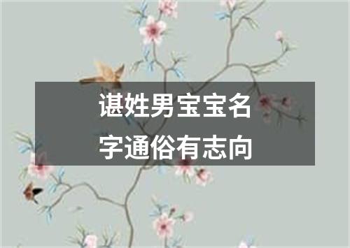 谌姓男宝宝名字通俗有志向