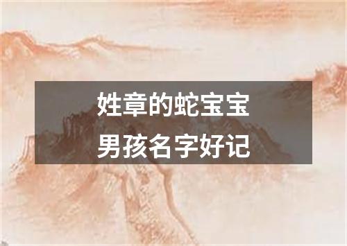 姓章的蛇宝宝男孩名字好记