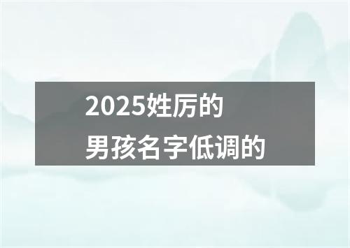 2025姓厉的男孩名字低调的