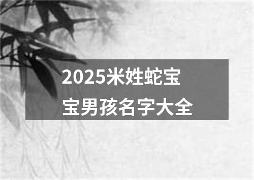 2025米姓蛇宝宝男孩名字大全