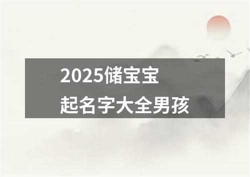 2025储宝宝起名字大全男孩