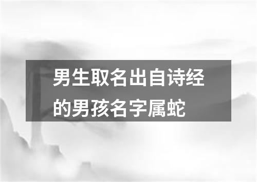 男生取名出自诗经的男孩名字属蛇