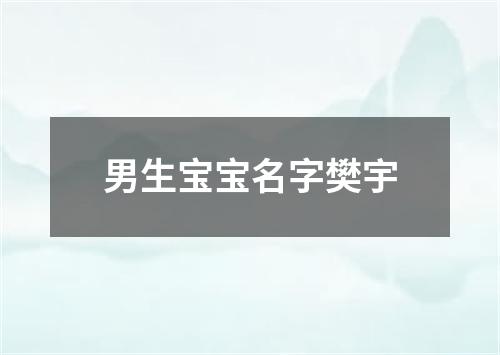 男生宝宝名字樊宇