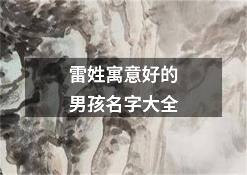 雷姓寓意好的男孩名字大全