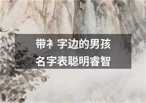 带衤字边的男孩名字表聪明睿智