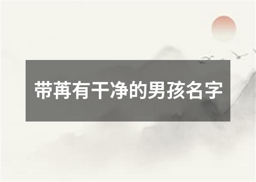 带苒有干净的男孩名字