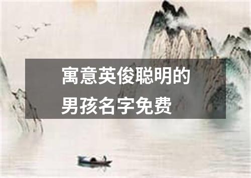 寓意英俊聪明的男孩名字免费
