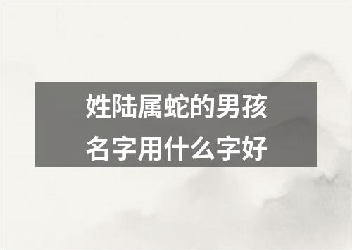 姓陆属蛇的男孩名字用什么字好