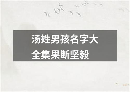 汤姓男孩名字大全集果断坚毅
