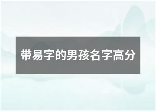 带易字的男孩名字高分