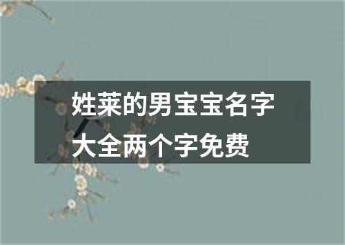 姓莱的男宝宝名字大全两个字免费
